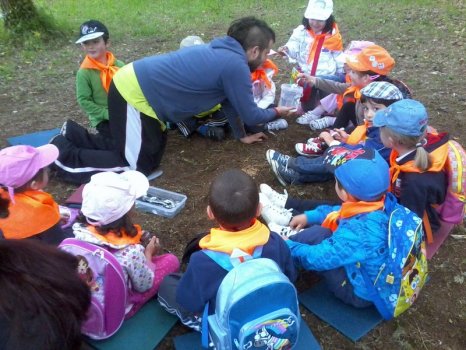 Preme para ver a foto ampliada