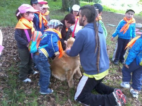 Preme para ver a foto ampliada