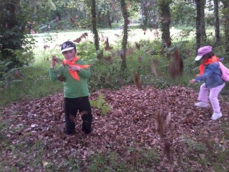 Preme para ver a foto ampliada