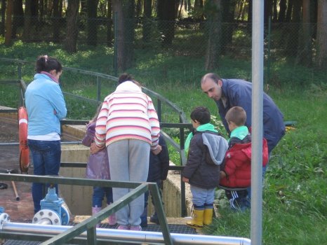 Preme para ver a foto ampliada