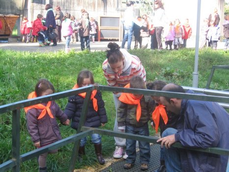 Preme para ver a foto ampliada