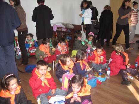 Preme para ver a foto ampliada