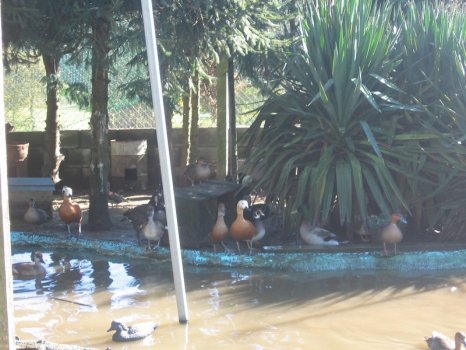 Preme para ver a foto ampliada