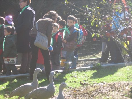 Preme para ver a foto ampliada