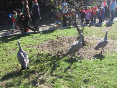 Preme para ver a foto ampliada