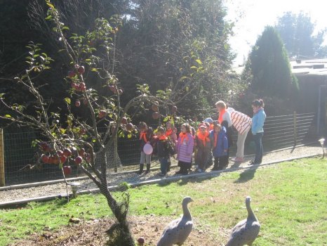 Preme para ver a foto ampliada