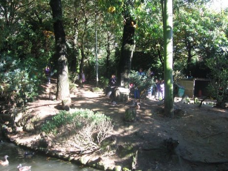 Preme para ver a foto ampliada