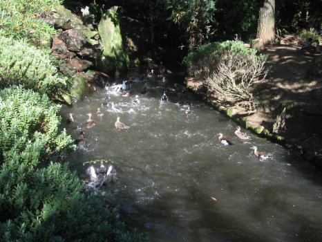 Preme para ver a foto ampliada