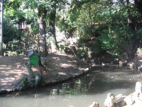 Preme para ver a foto ampliada