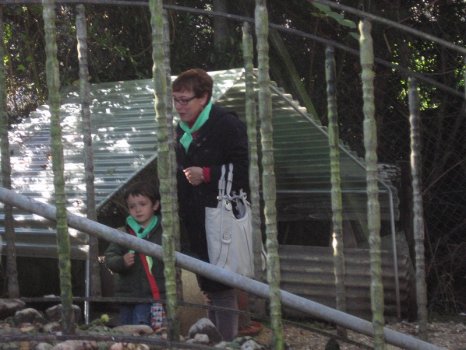 Preme para ver a foto ampliada