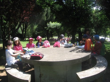 Preme para ver a foto ampliada