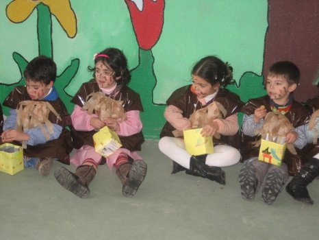 Preme para ver a foto ampliada