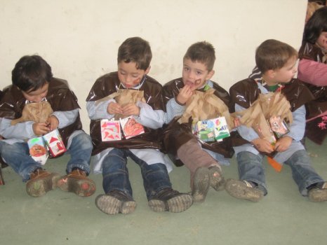 Preme para ver a foto ampliada