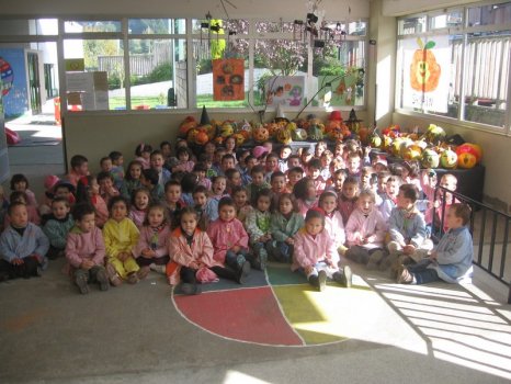 Preme para ver a foto ampliada