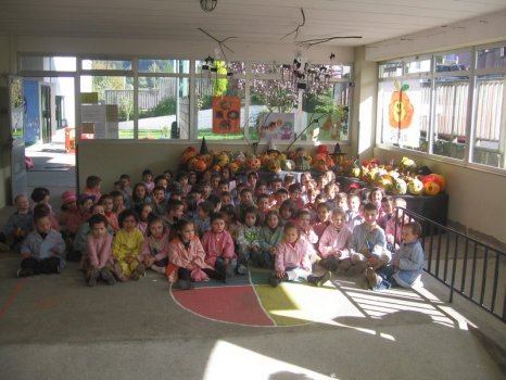 Preme para ver a foto ampliada