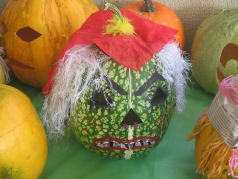 Preme para ver a foto ampliada