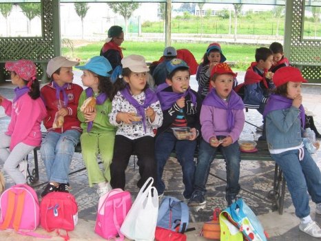 Preme para ver a foto ampliada