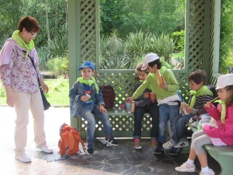 Preme para ver a foto ampliada