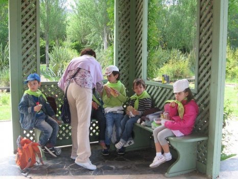 Preme para ver a foto ampliada