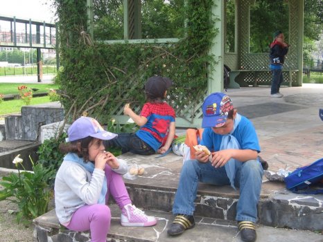 Preme para ver a foto ampliada