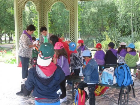 Preme para ver a foto ampliada