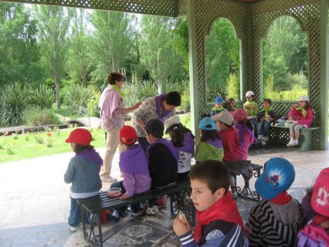 Preme para ver a foto ampliada