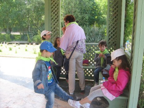 Preme para ver a foto ampliada