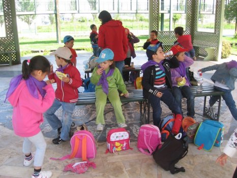 Preme para ver a foto ampliada