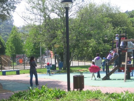 Preme para ver a foto ampliada