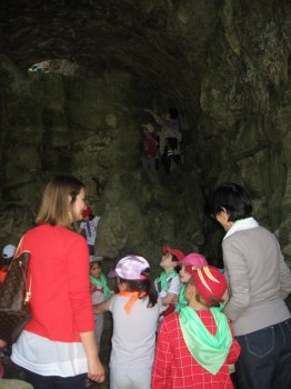 Preme para ver a foto ampliada