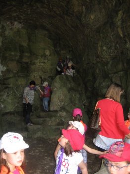 Preme para ver a foto ampliada