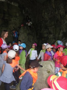 Preme para ver a foto ampliada