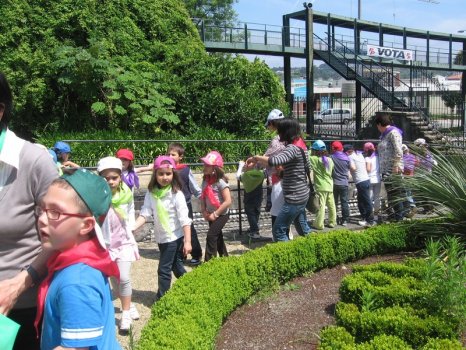 Preme para ver a foto ampliada