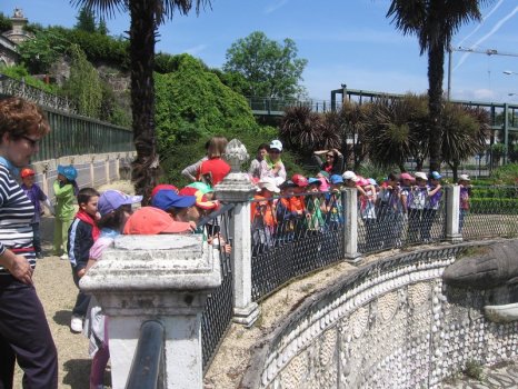 Preme para ver a foto ampliada