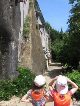 Preme para ver a foto ampliada