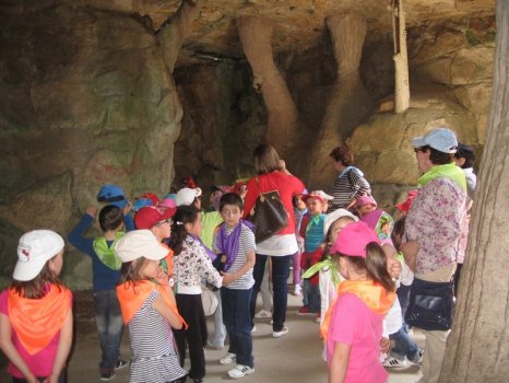 Preme para ver a foto ampliada