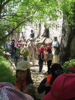 Preme para ver a foto ampliada