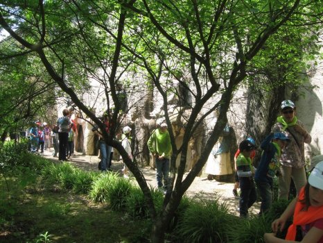 Preme para ver a foto ampliada