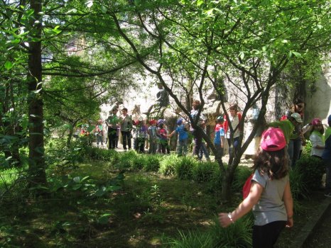 Preme para ver a foto ampliada