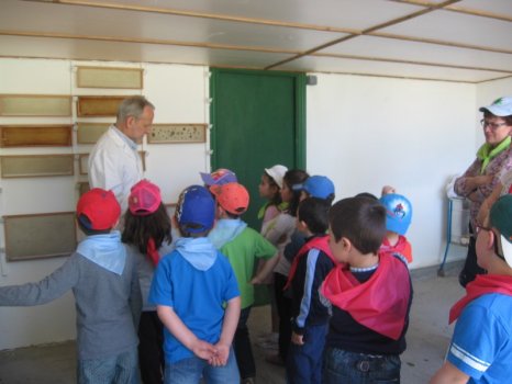 Preme para ver a foto ampliada