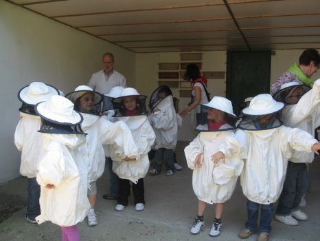 Preme para ver a foto ampliada