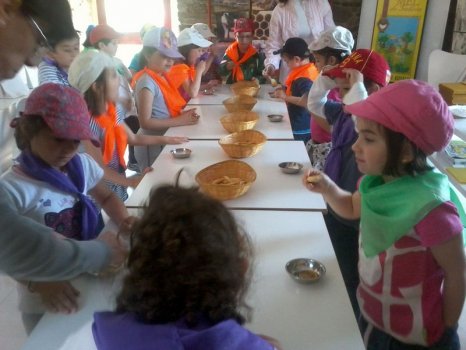 Preme para ver a foto ampliada