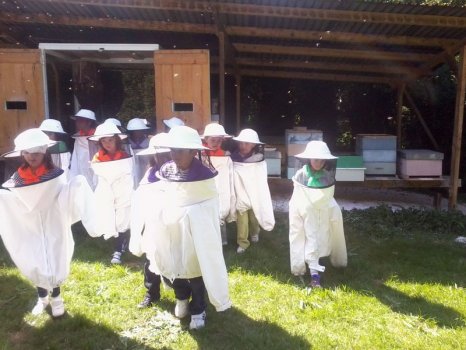 Preme para ver a foto ampliada