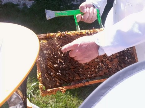 Preme para ver a foto ampliada