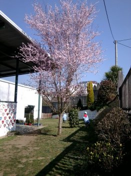 Preme para ver a foto ampliada