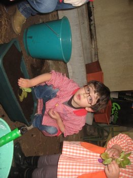 Preme para ver a foto ampliada