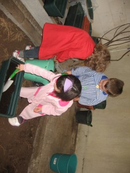 Preme para ver a foto ampliada