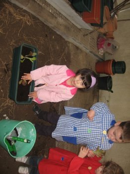 Preme para ver a foto ampliada