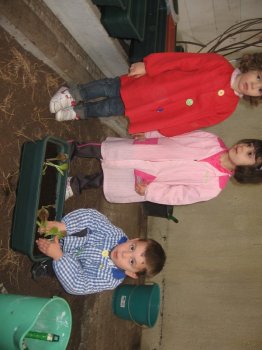 Preme para ver a foto ampliada