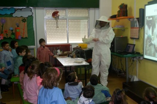 Preme para ver a foto ampliada